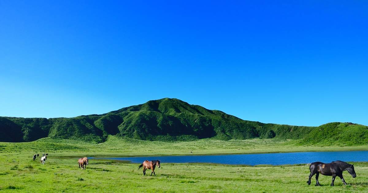 Chartered car self - guided tour (customized itinerary) | Fukuoka, Kumamoto, Oita (Beppu), Nagasaki, Saga, Miyazaki Takachiho