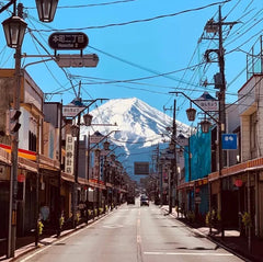 Mount Fuji Private Chartered Day Trip (From Tokyo)