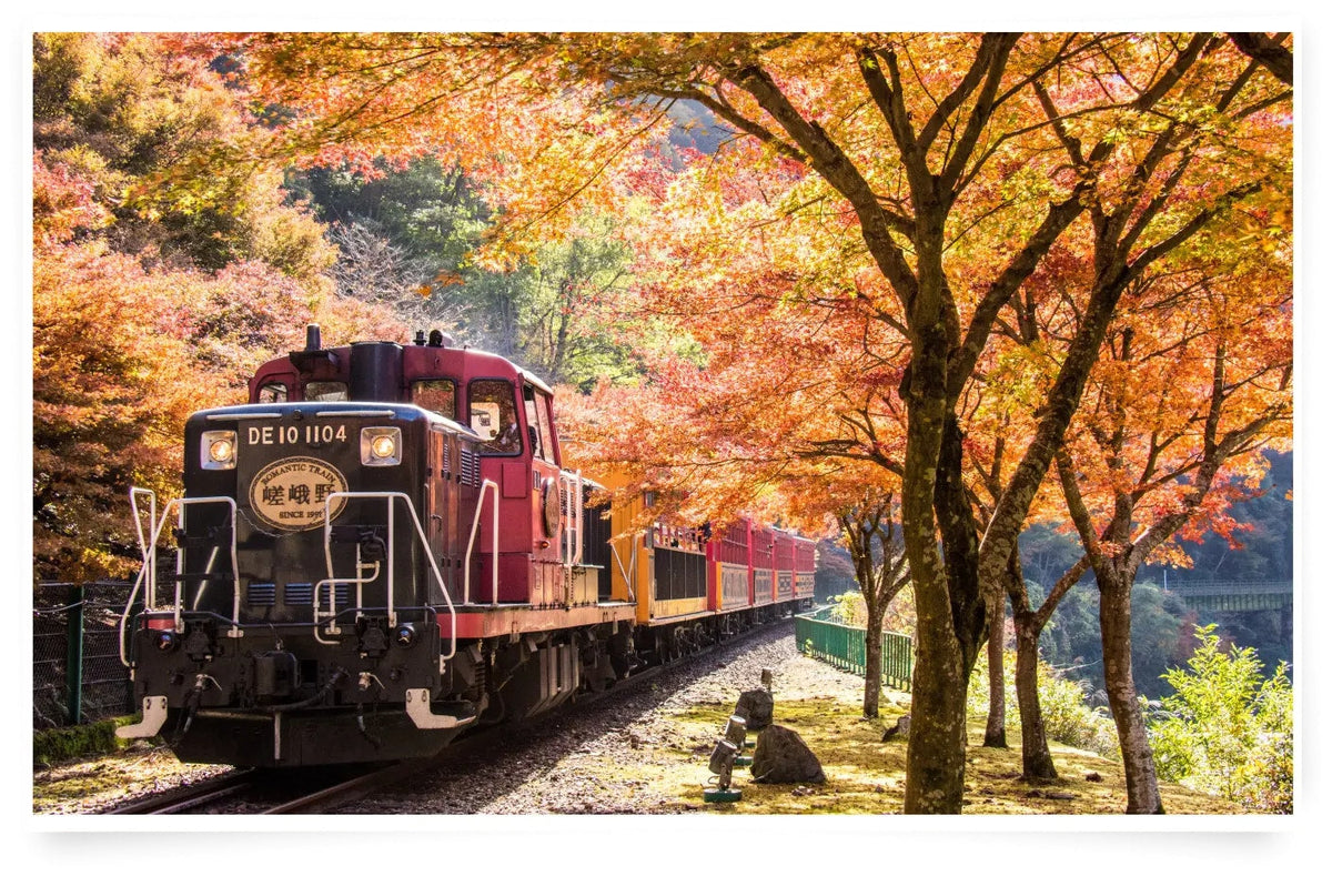 Osaka Departure丨Kansai Region Customized Private Car Day Tour (Osaka/Kyoto/Nara/Kobe/Wakayama)