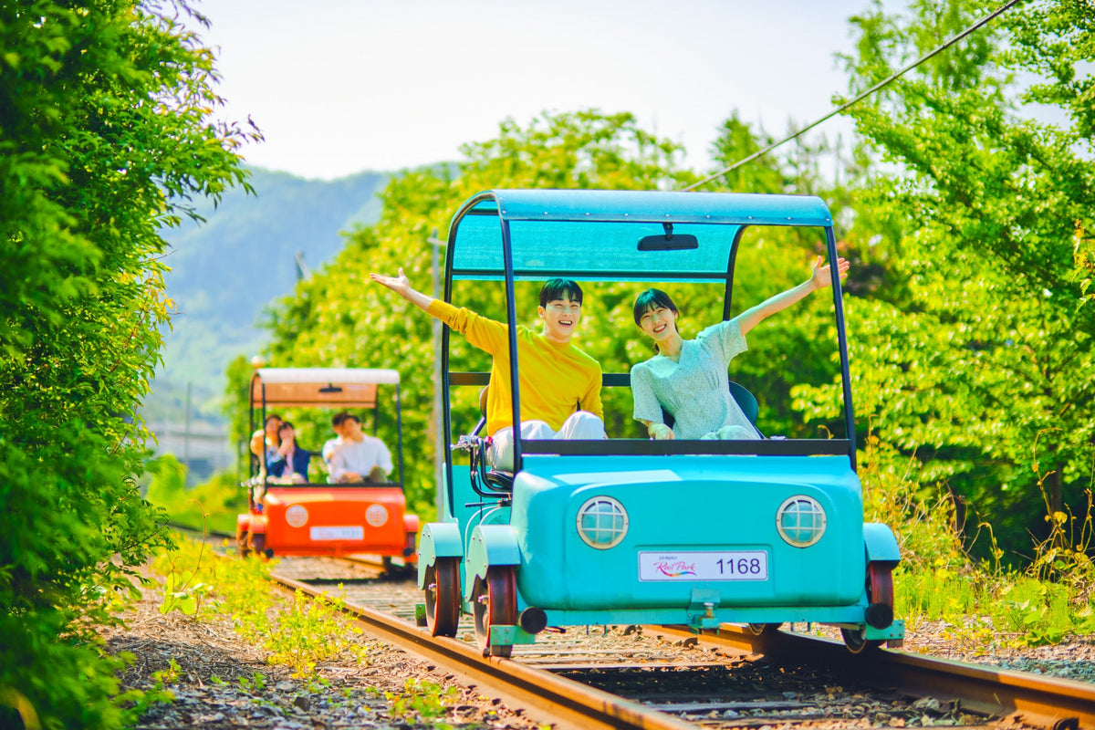 Gyeonggi - do Private Car Charter