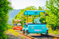 Gyeonggi - do Private Car Charter