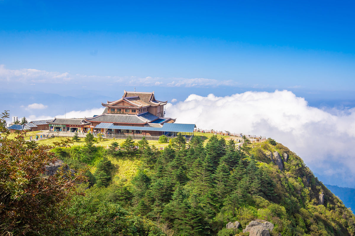 Chengdu Mount Emei - Leshan Giant Buddha private car one - day tour