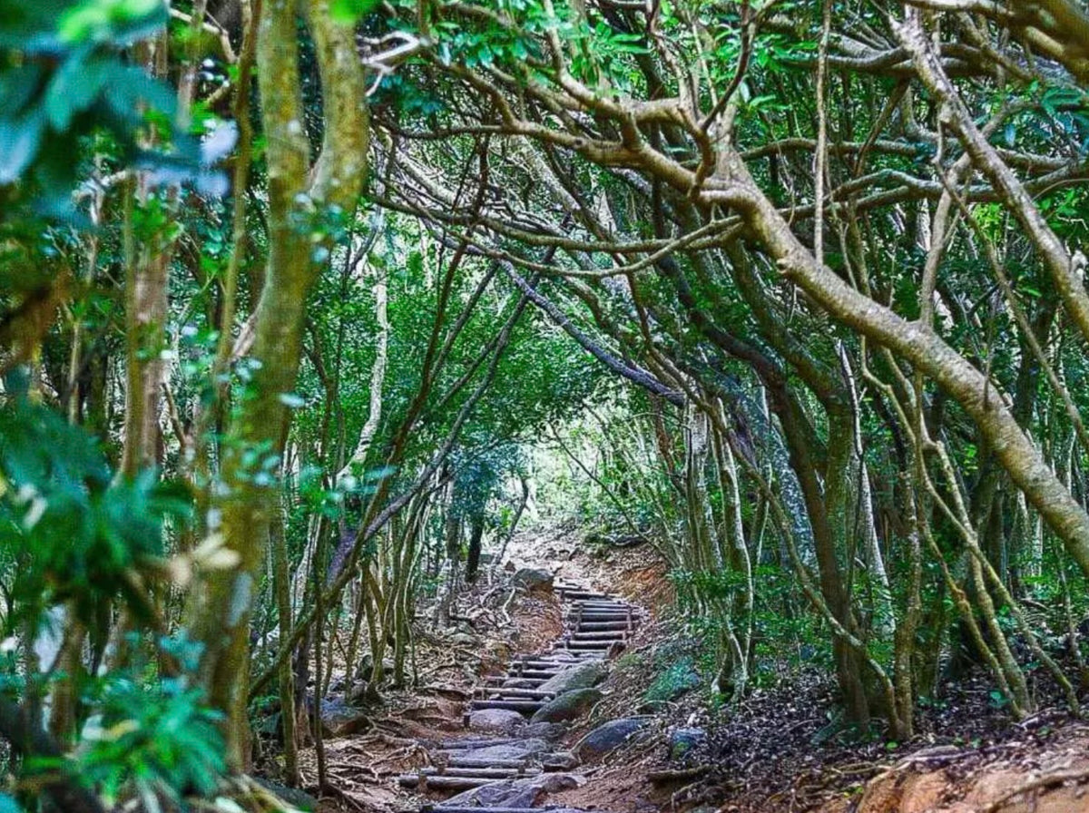 Kyushu Fukuoka Itoshima customized itinerary chartered car day trip - multi - day trip: Shiraito Falls, Sakurai Futamiura Couple Rocks, Sakurai Shrine, Dazaifu Tenmangu Shrine, Nanzoin Temple