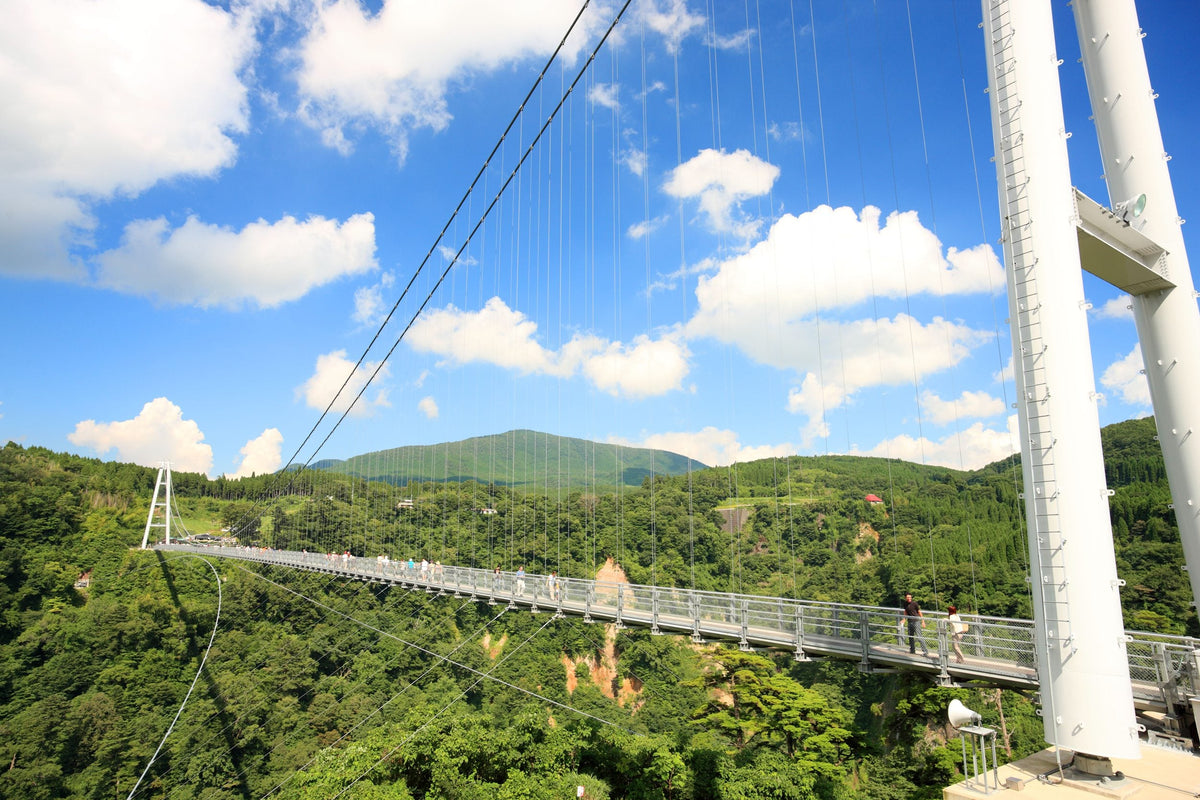 Beppu & Yufuin & Oita Private Car Tour with Driver