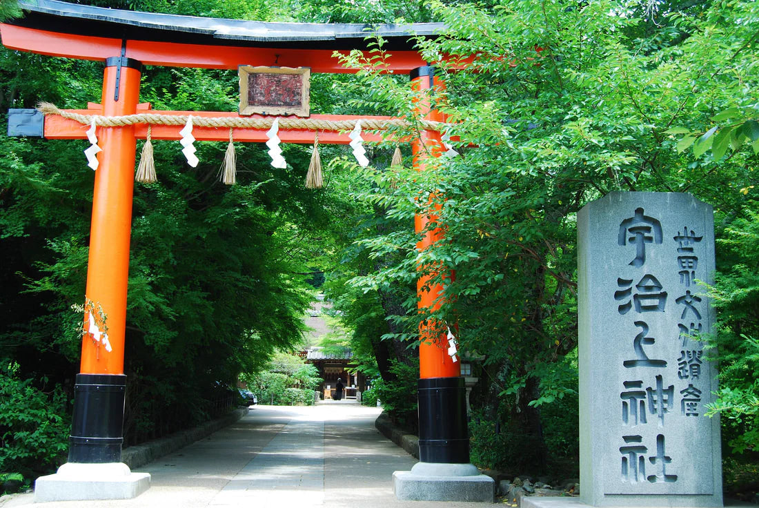 Osaka Area | Kyoto, Nara, Uji, Kobe, Himeji Castle Customized Day Tour | Private Chartered Car Free Itinerary