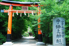 Osaka Area | Kyoto, Nara, Uji, Kobe, Himeji Castle Customized Day Tour | Private Chartered Car Free Itinerary