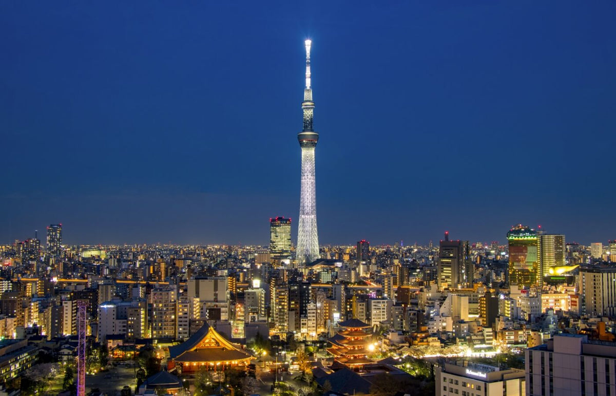 [Private Chartered Car] Tokyo City to Tokyo Disneyland - Mount Fuji - Karuizawa - Nagano - Niigata and other areas