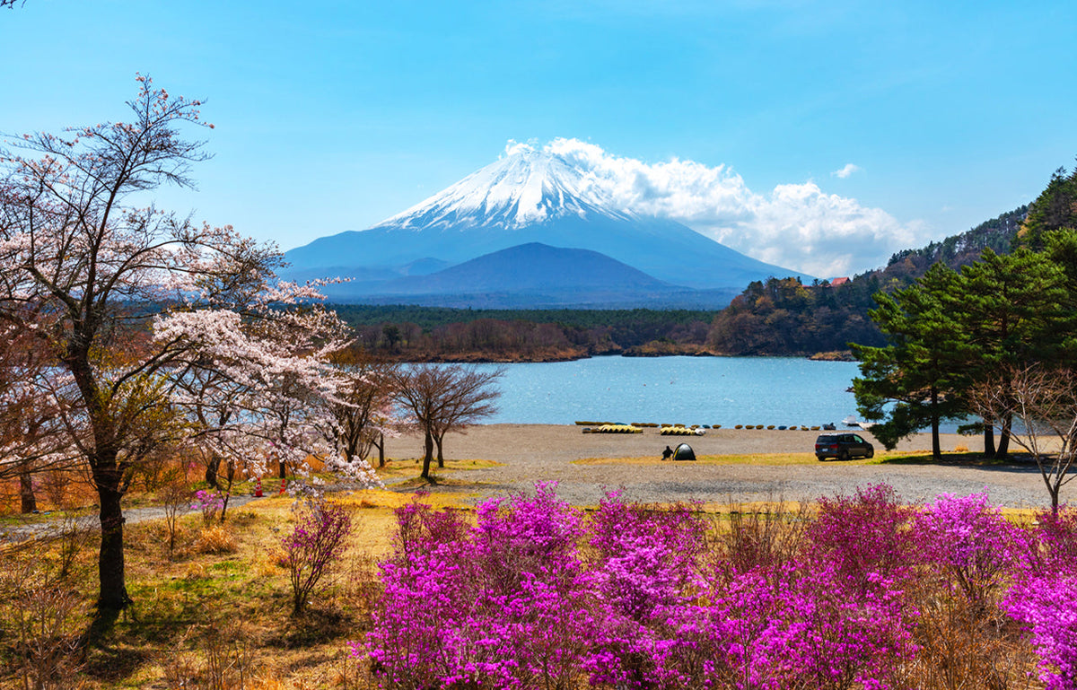 Mount Fuji - Hakone - Kamakura Private Car Day Tour (Hotel pick - up and drop - off - Multiple vehicle options available)