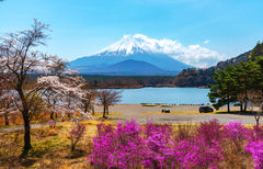 Mount Fuji - Hakone - Kamakura Private Car Day Tour (Hotel pick - up and drop - off - Multiple vehicle options available)
