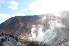 Hakone Private Chartered Day Tour (From Tokyo)