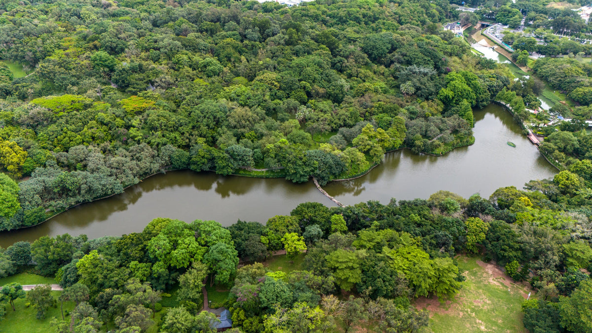 Lotus Hill Park, Shenzhen UpperHills, and Bijia Mountain Park Chartered One - Day Tour