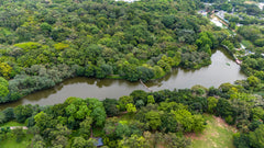 Lotus Hill Park, Shenzhen UpperHills, and Bijia Mountain Park Chartered One - Day Tour