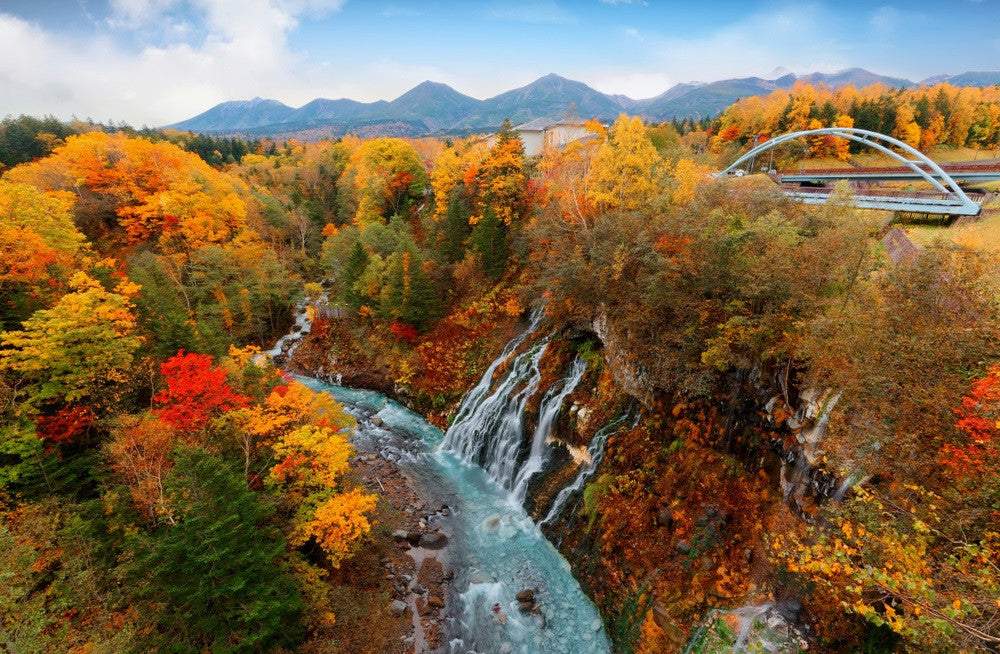Hokkaido: Customizable Private Car Charter Day Tour | Departs from Sapporo