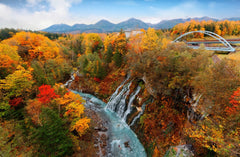 Hokkaido: Customizable Private Car Charter Day Tour | Departs from Sapporo