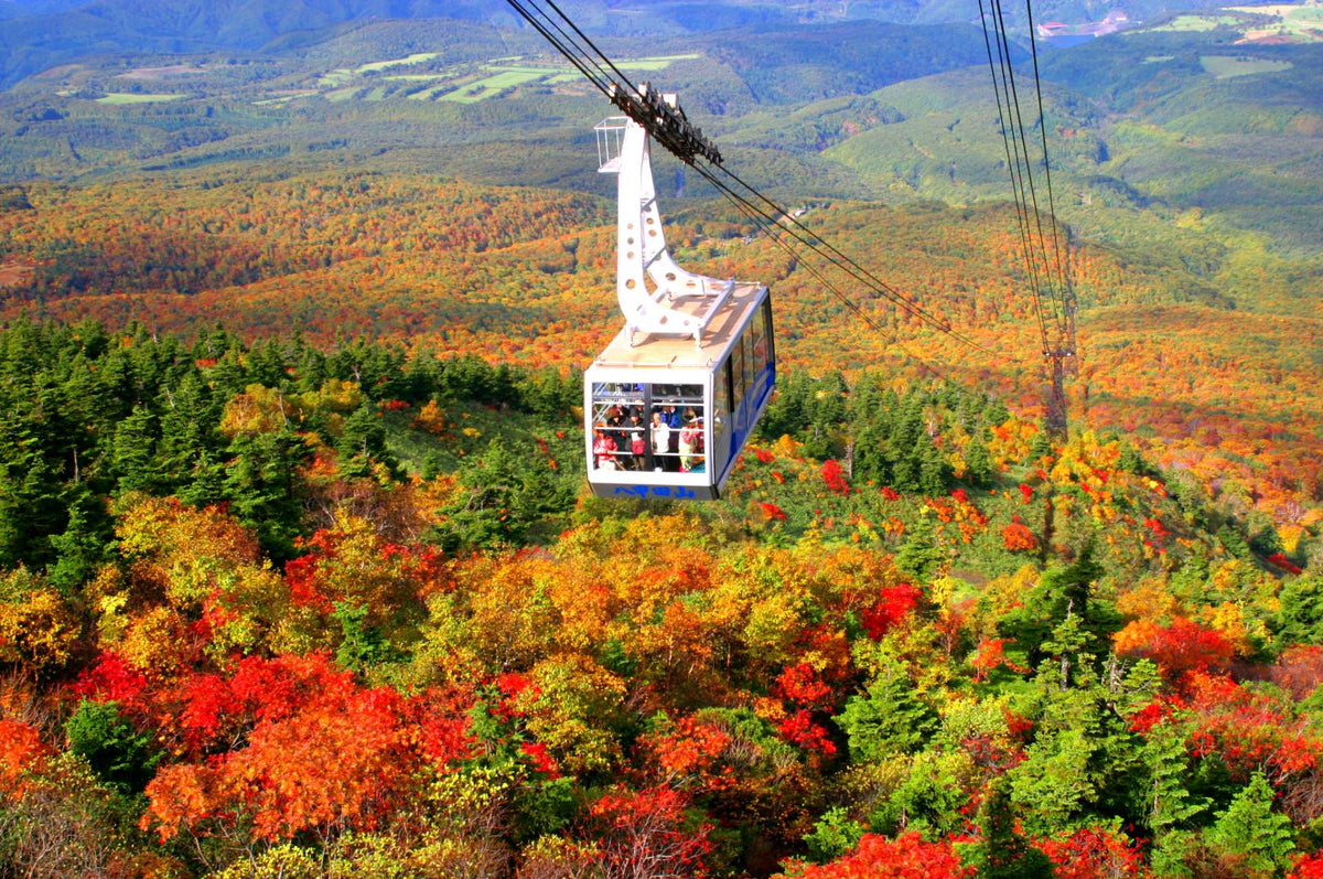 Aomori | Oirase Stream & Shirakami Mountains Private Chartered Day Tour | Customizable Itinerary