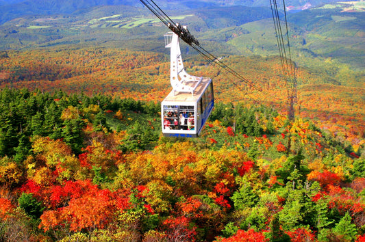 Aomori | Oirase Stream & Shirakami Mountains Private Chartered Day Tour | Customizable Itinerary
