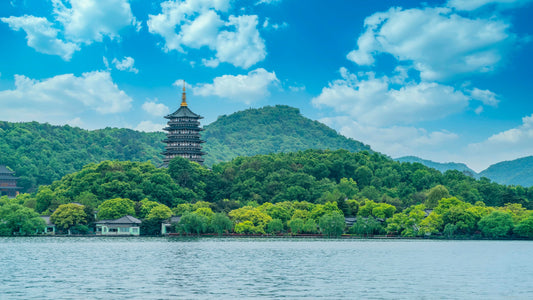 Hangzhou Lingyin Temple & Faxi Temple & West Lake Private Car Day Tour