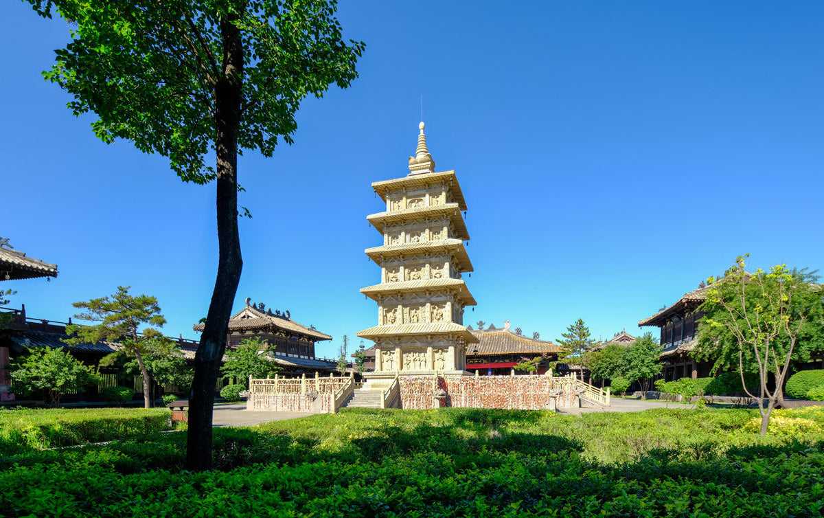 Datong Private Car Day Tour