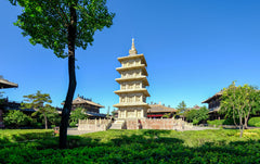 Datong Private Car Day Tour