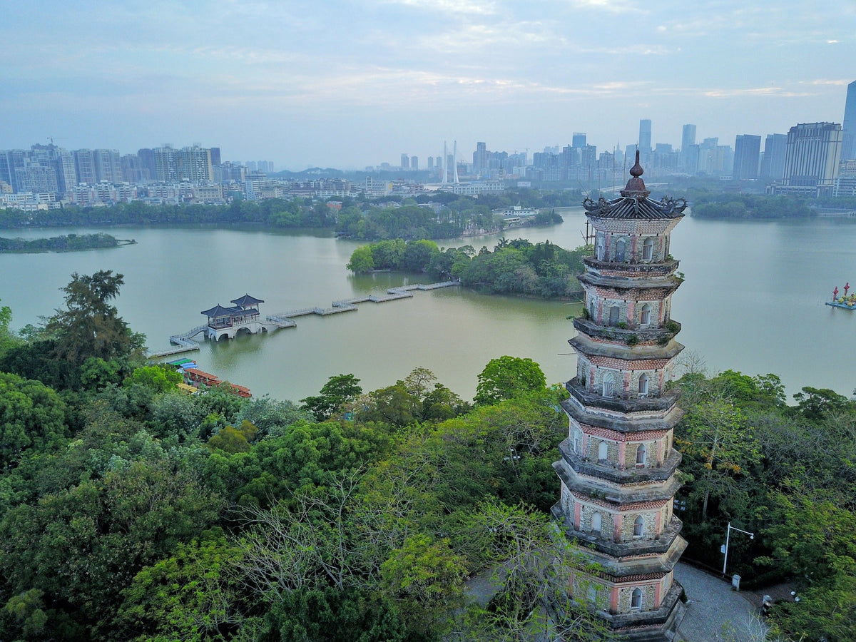 Chartered Car Tour: One - Day Tour of Huizhou City & Popular Bays