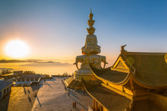 Chengdu Mount Emei - Leshan Giant Buddha private car one - day tour