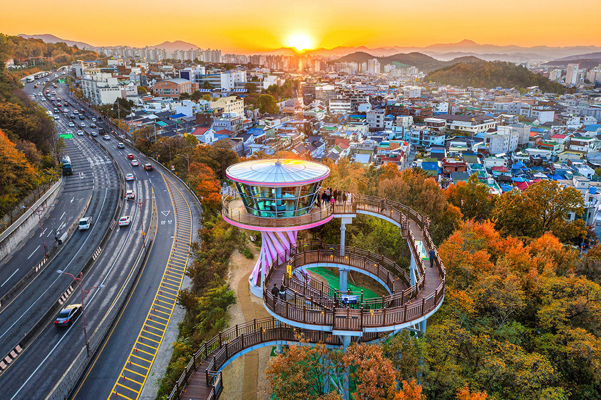 Daegu Chartered Car Private Taxi Tour from Daegu