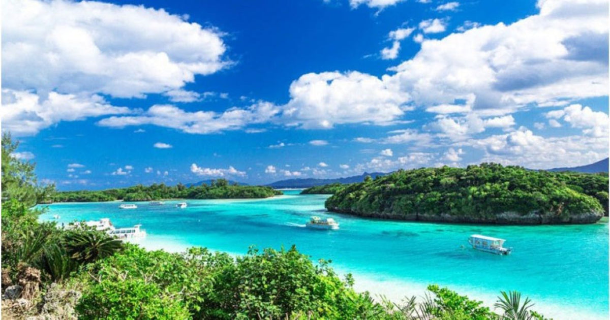 Okinawa Ishigaki Island Private Chartered Car Day Tour・Customized Itinerary