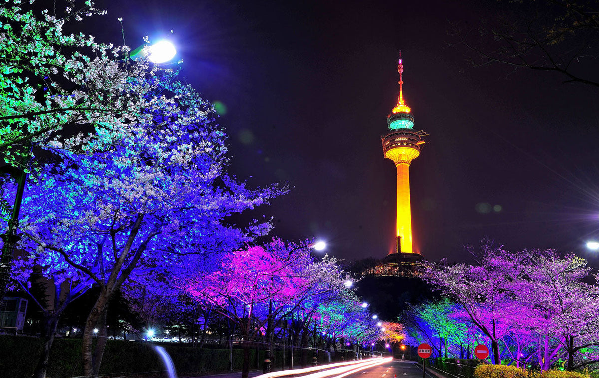 Daegu Chartered Car Private Taxi Tour from Daegu