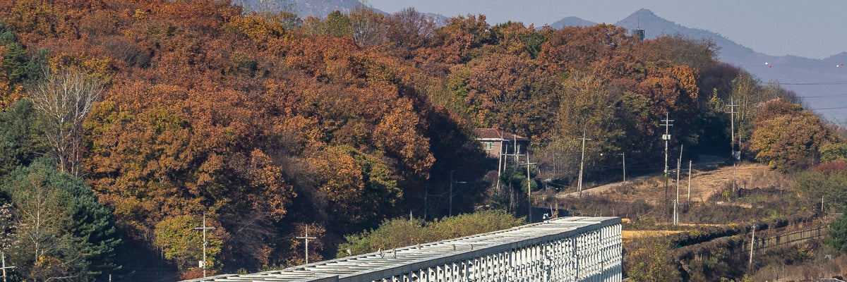 Seoul to Nearby Suburbs Private Car Charter
