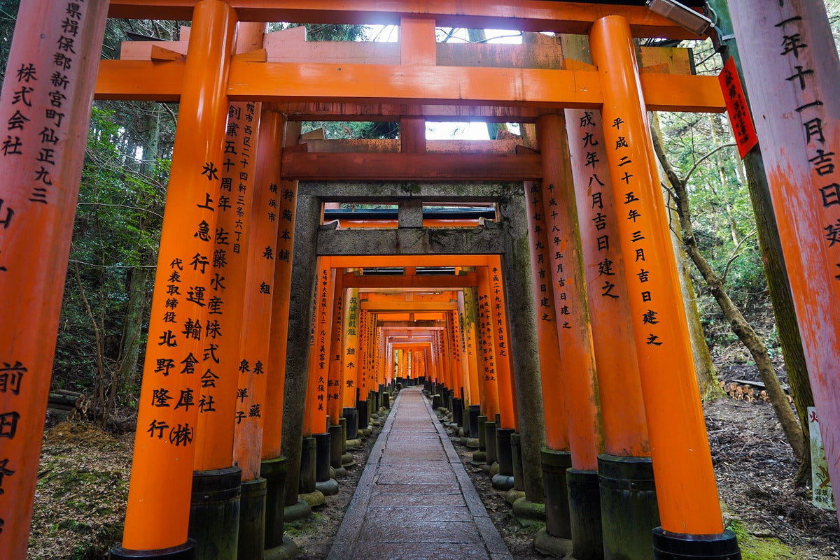 1 - Day Kyoto & Nara Day Trip Highlights Tour with a Private Car