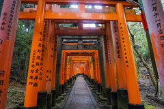 1 - Day Kyoto & Nara Day Trip Highlights Tour with a Private Car