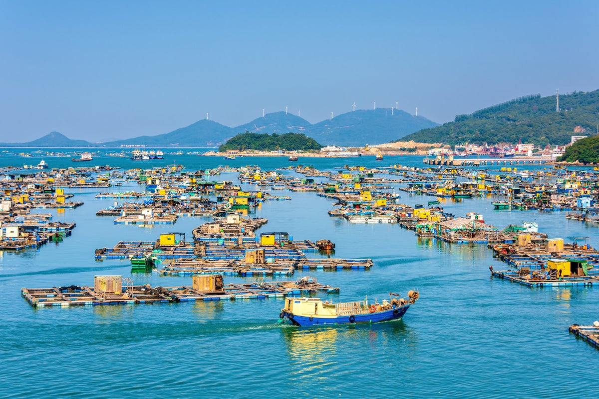 Yangjiang City One - Day Private Car Charter