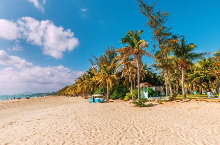 Sanya One - Day Private Car Charter