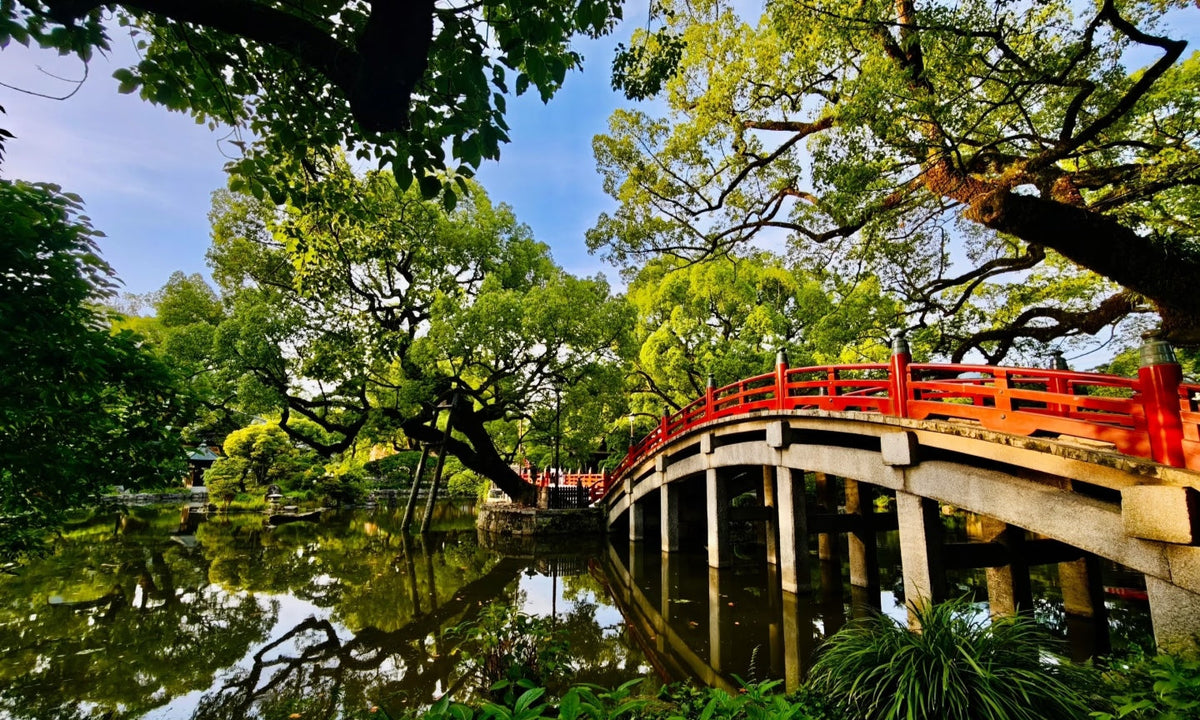 Fukuoka Chartered Day Tour | Chinese Driver and Guide · 10 - Hour Private Transfer | Multiple Routes Available or Customizable in Fukuoka - Nagasaki - Oita - Kumamoto - Takachiho