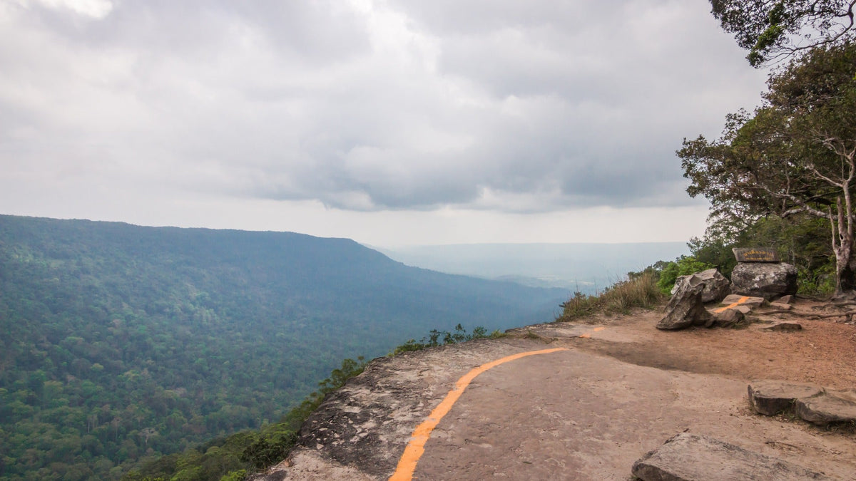 1-Day, 2-Day, or 3-Day Khao Yai Nature & Wildlife Private Car Charter Tour from Bangkok
