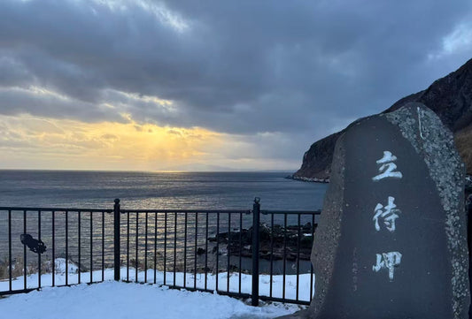 [Hakodate 5 - hour chartered car] Cape Tachimachi - Goryokaku Park - Tropical Botanical Garden (5 & 10 - seater green license plate car + Japanese driver)