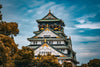 Osaka Full - Day City Highlights Experience with Private Car