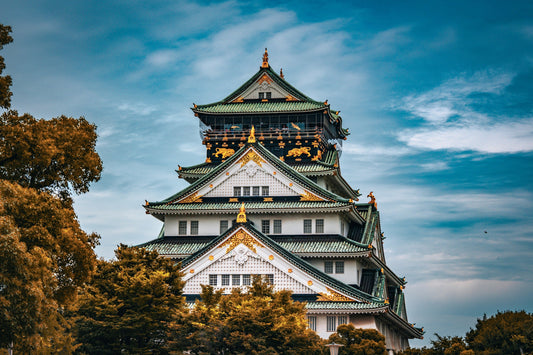 Osaka Full - Day City Highlights Experience with Private Car
