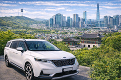 Seoul and Suburbs Private Car Charter Tour