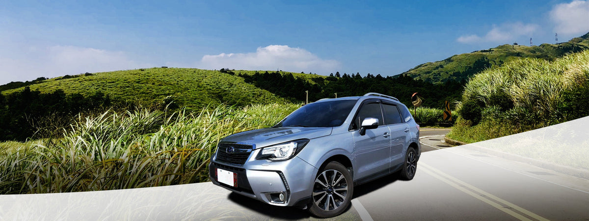 Taipei Departure: Yangmingshan Car Rental with Driver to Small Oil Pit - Bamboo Lake - Hot Spring Valley