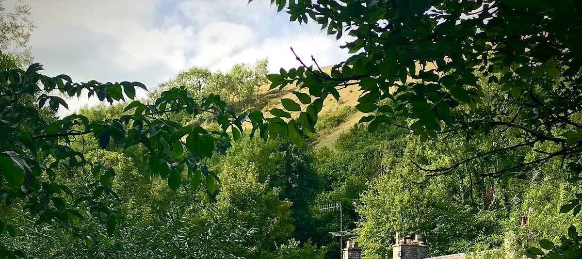 [Manchester Departure] Peak District National Park & "Darcy Manor" Chatsworth House One - Day Private Car Tour (1 - 6 Passengers) | Chinese Driver - Guide Service