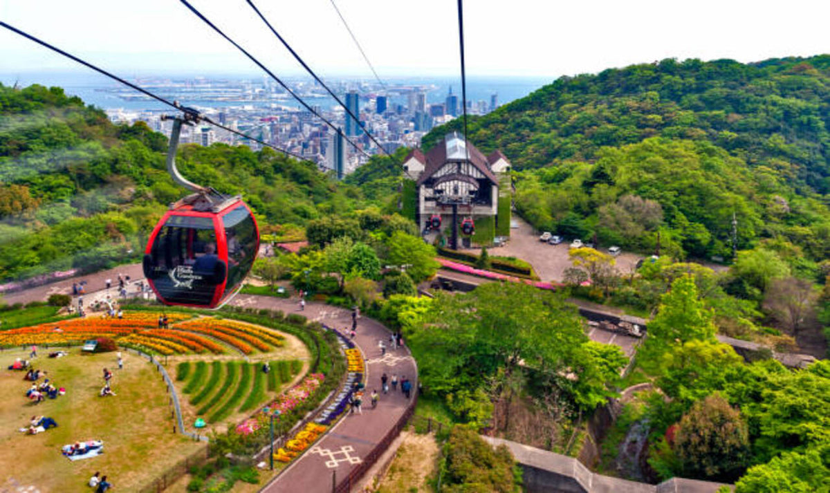 10 - Hours Kobe Private Car Tour with Driver (From Osaka)