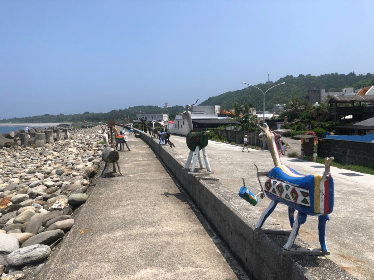 Taitung Private Car Tour: Mr. Brown Avenue - Sanxiantai - Duoliang Train Station (From Taitung)