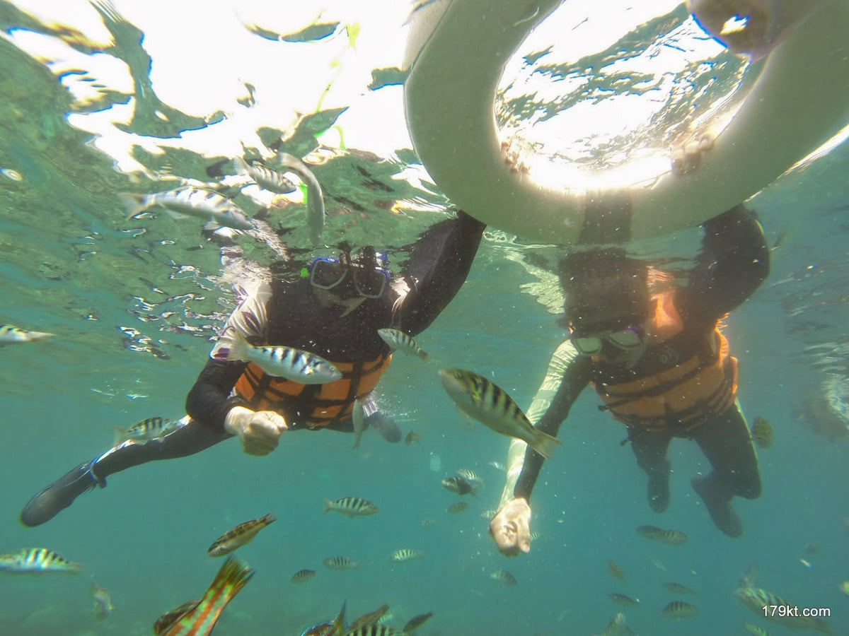 Kaohsiung Departure: Kenting Car Rental with Driver to National Museum of Marine Biology and Aquarium - E