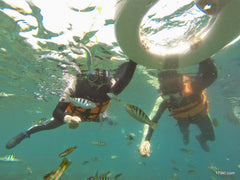 Kaohsiung Departure: Kenting Car Rental with Driver to National Museum of Marine Biology and Aquarium - E