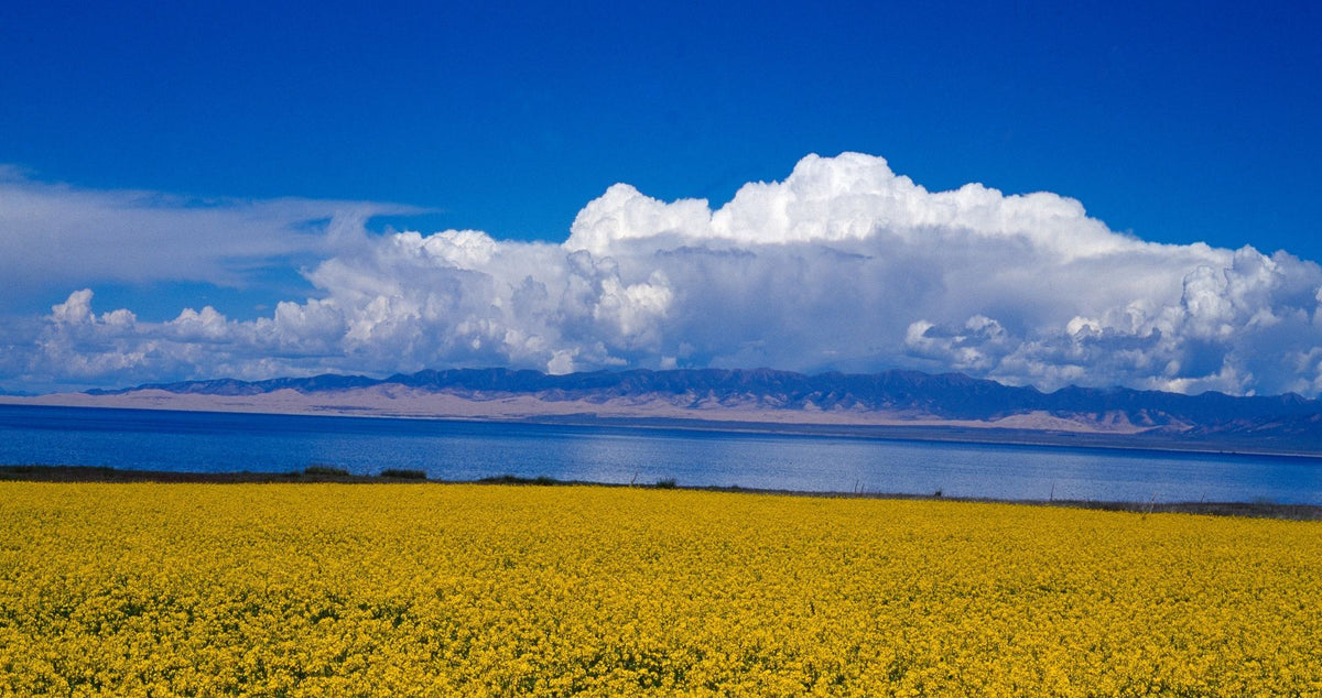 Xining Riyue Mountain + Qinghai Lake + Chaka Salt Lake One Day Tour (Chinese - English Speaking Guide + Private Chartered Car)