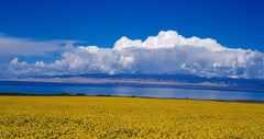Xining Riyue Mountain + Qinghai Lake + Chaka Salt Lake One Day Tour (Chinese - English Speaking Guide + Private Chartered Car)