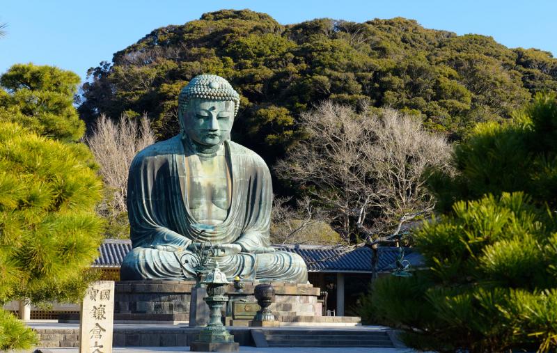 Kamakura Great Buddha & Hakone Shrine Transfer & Private Car Day Tour