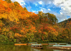 Sendai | Zao Okama Crater, Fox Village, and Ginzan Onsen Private Chartered Day Tour | Customizable Itinerary