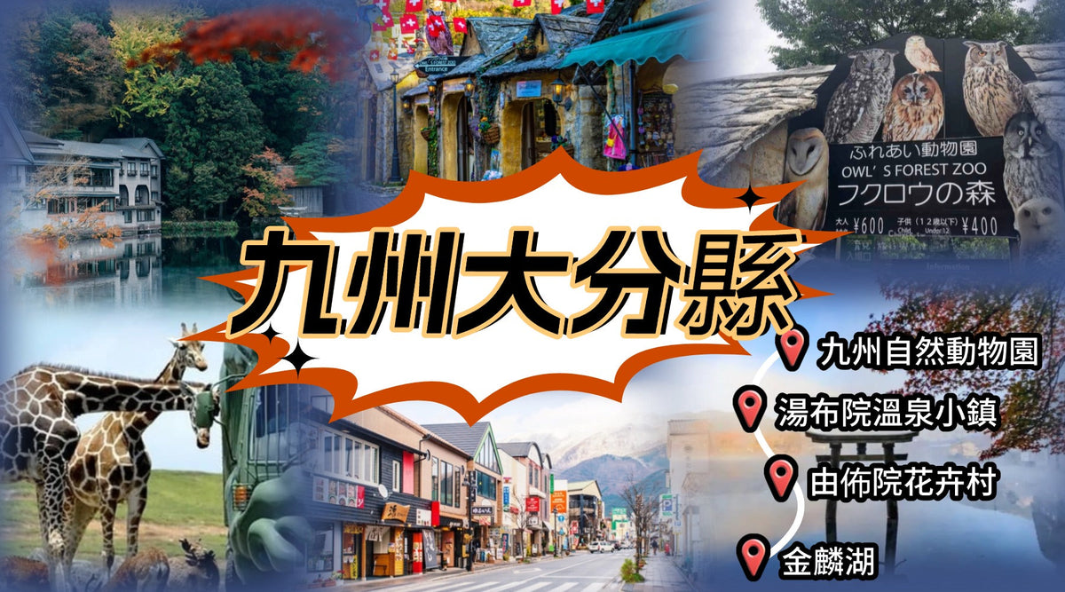 Kyushu | Oita Kyushu Natural Animal Park - Beppu Sea Hell Hot Spring - Yufuin - Kinrin Lake Customized Chartered Day Tour